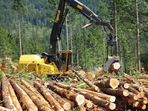 Triad logging machinery in the field stripping logs